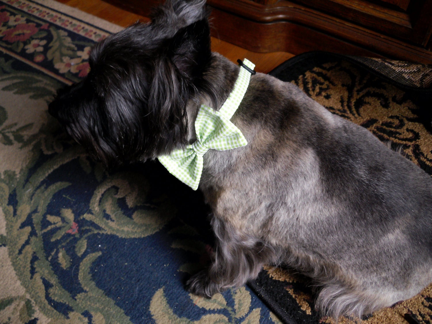 Seersucker Bowtie Collar for Dogs