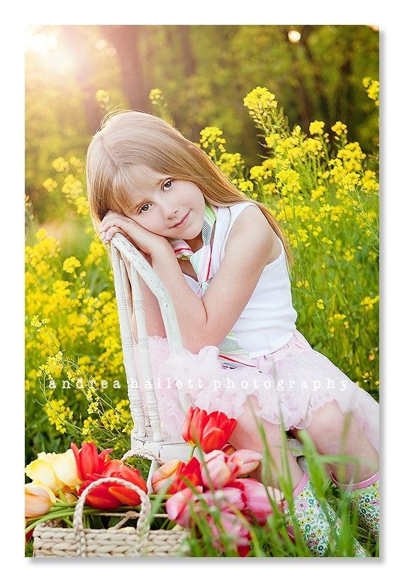 The Belle- slim dandy stripes in pink- 3 in 1 necktie/headband/sash or belt for girls of all ages
