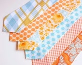 The Beau- citrine collection neckties for boys of all ages- choose your favorite