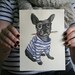 Hipster French Bulldog