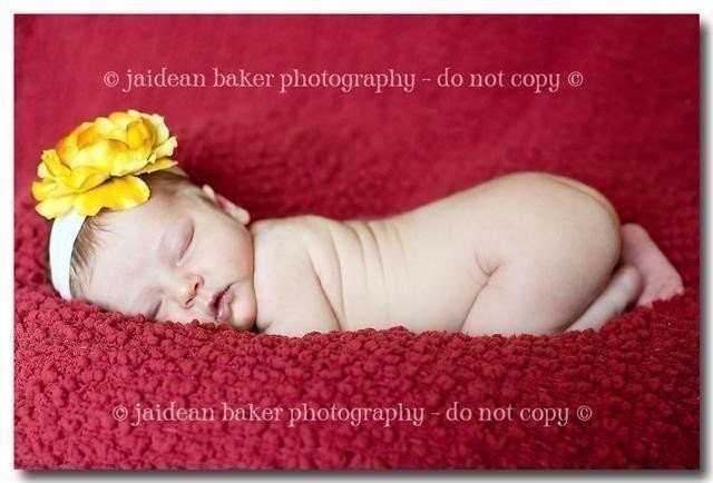 Goldenrod Boutique Flower Headband on super soft white OR cream nylon with Swarvoski Crystal center