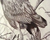 The Stork