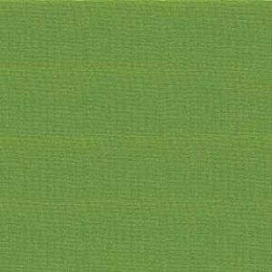 Kona Cotton Solid in Grass by Robert Kaufman 1 yard