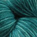 Wüllenstudio "Looking Out My Back Door" Sock Yarn