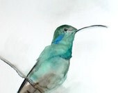 30% Off SALE - Gift for Her - Hummingbird Art Print - Wall Decor - August - Large 16x20 Print - Hummingbird Watercolor