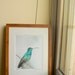 Bird Watercolor Painting - Hummingbird Art - Gift for Her - August - Second Edition - 99/100 - 8 x 10 Giclee Print