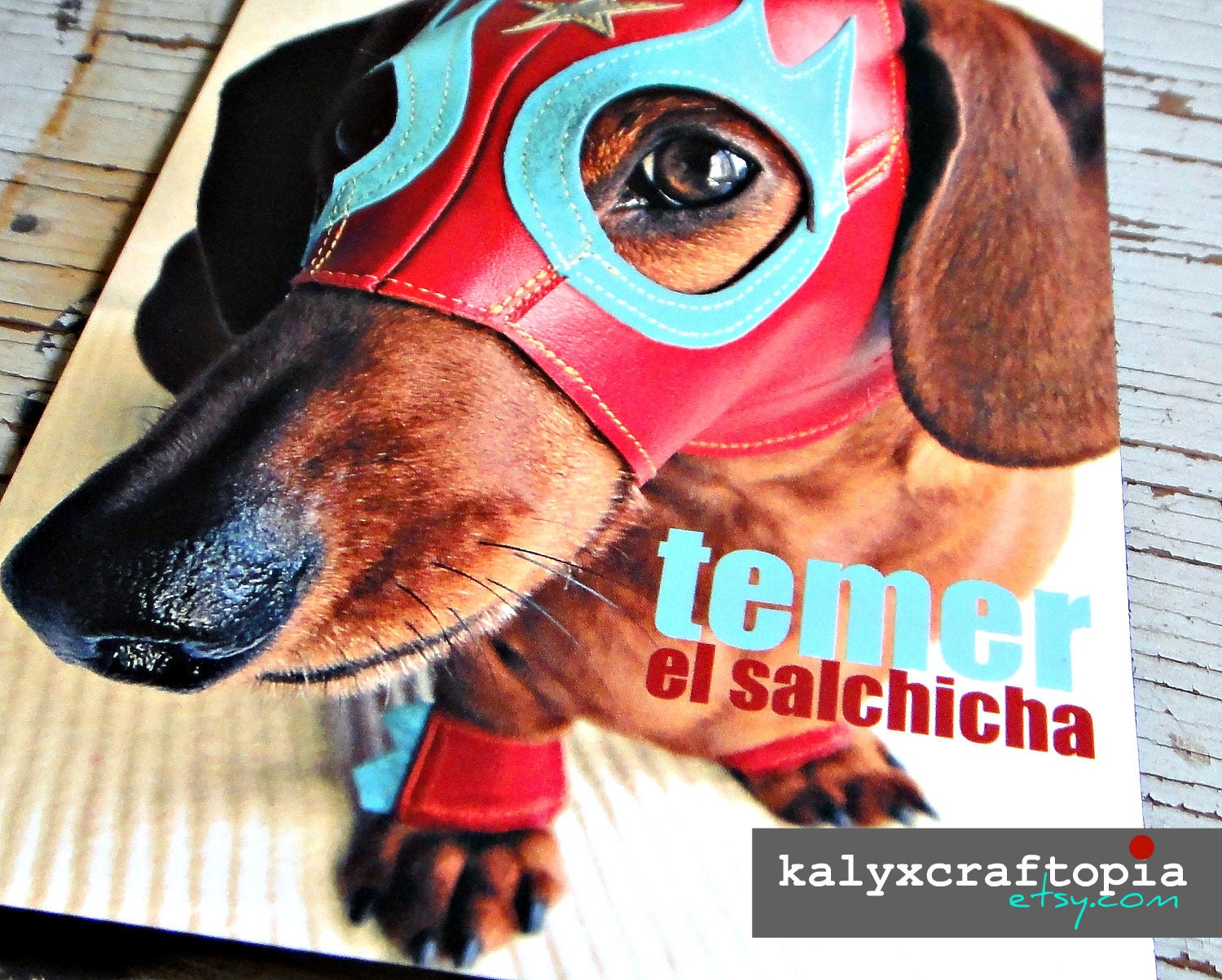 Luchador Mexican Wrestler Dachshund Dog Magnet - Temer El Salchicha