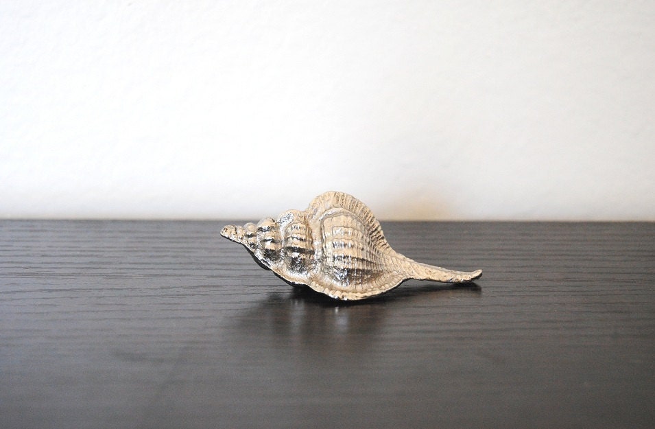 Small Shell