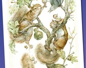 Acorn Brandy (mini print)