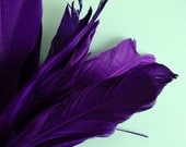 25 Purple XL Studio Dyed Goose Feathers. No. 021