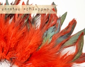 RED Half Bronze - Rooster Schlappen, Naturally Dyed, Unbleached, 5-7 inches tall