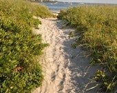 Sandy Path - 8x10 Fine Art Photographic Print