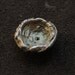 Sterling Nest Charm from Elemental Adornments