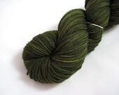 Crocodile - Handpainted Superwash Merino Sock Yarn 400 yds