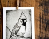 Bird Decor - Wall Art - Cardinal Bird Print - Black and White Decor - Print of my Original Etching - Monochromatic Shabby Chic