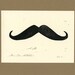 Gag gift - Mustache Art Print - Facial Hair Wall Art - Joke Gift Original Art - 5x7 -  Holiday Sale - For Men, Dudes, Fellas