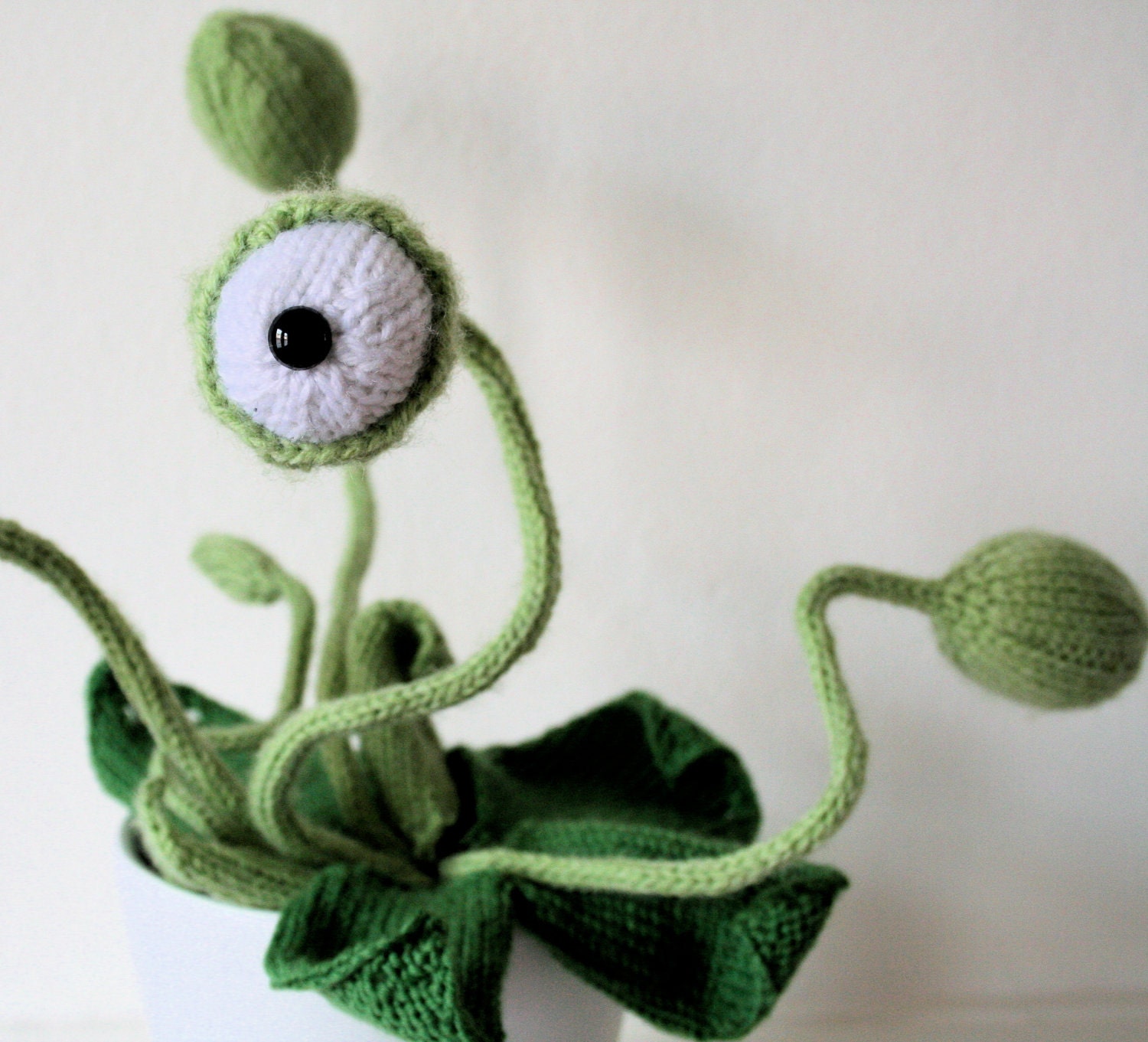 Cyclops Potted Plant