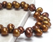Brown Bracelet, Spice Pearls Nutmeg Bronze Metallic Pearls Chunky Bracelet Woodland Fashion- Early Harvest - CCARIA