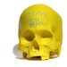 chalkboard skull