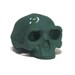Homo erectus chalkboard skull