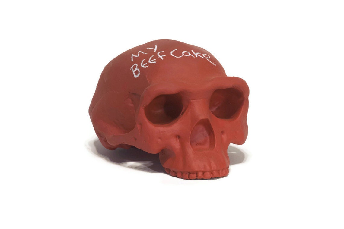 Homo erectus chalkboard skull