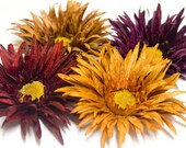 INVENTORY REDUCTION SALE - Velvet Spider Daisy Hair Clip, Brooch or Headband in Amber Orange, Terra Cotta Brown, Eggplant, and Burgundy