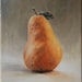 Pear Original Oil Painting by Claire Elan - 10x8