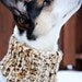 Brown Marble Doggie Neck Warmer - Med