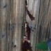 Single earring feather and leather hair extension