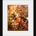 Autumn Leaves Nature Photograph 8"x10" Fall Print Burnt Orange Red Purple Yellow Leaves.