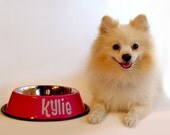 Medium - Hot Pink - Personalized Stainless Steel Dog Bowl - Name