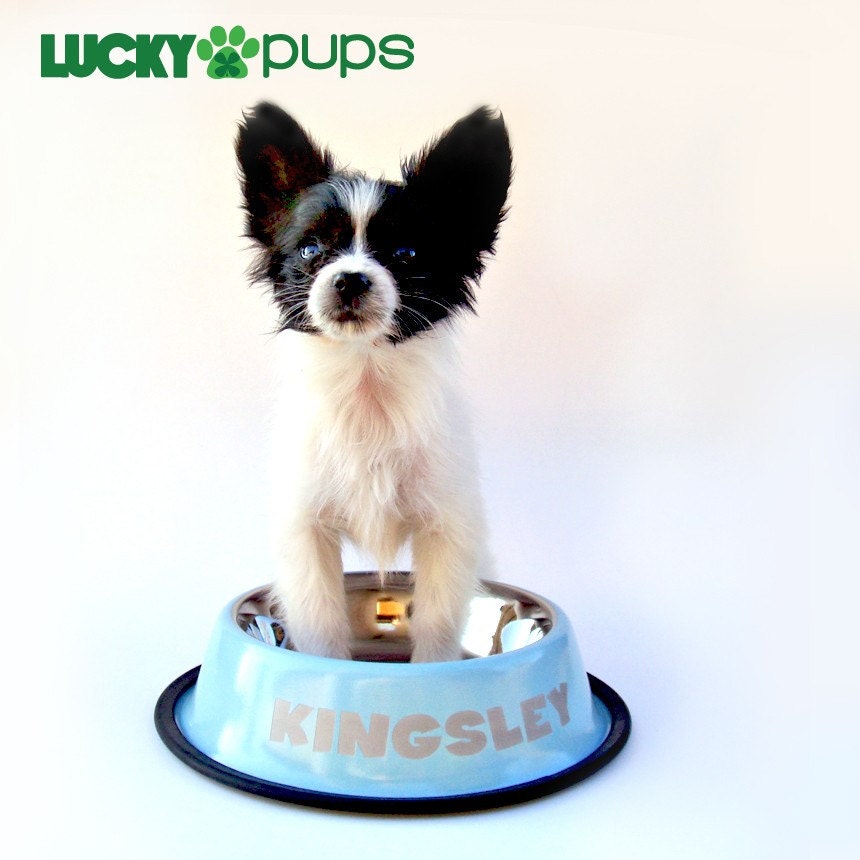 Medium - Baby Blue - Personalized Stainless Steel Dog Bowl - Name