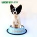 Medium - Baby Blue - Personalized Stainless Steel Dog Bowl - Name