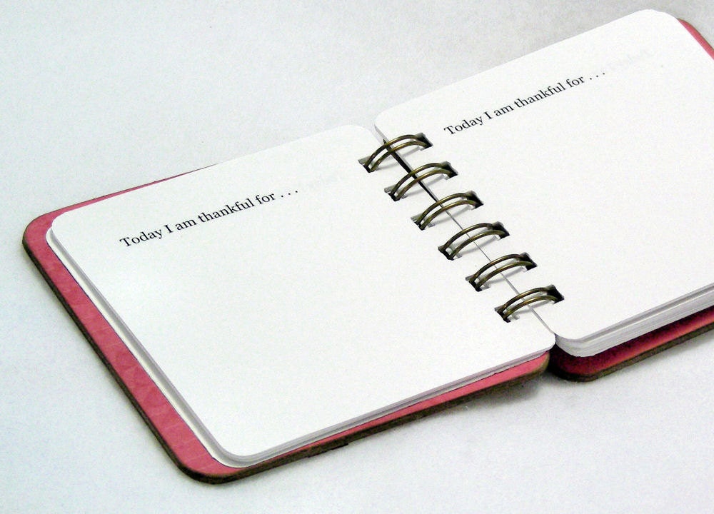 How Does My Garden Grow Mini Gratitude Journal, pink and orange flowers