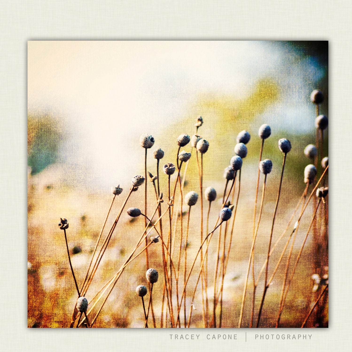 Fall Wall Decor - indigo, harvest gold, Autumn Wall Art - The Hold Outs - home decor, Chicago nature photograph, Autumn Wall Decor