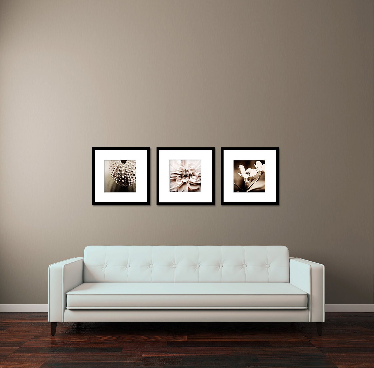 Fine Art Photography - three 8x8 prints - nature decor - Texture - dogwood wall art, sea urchin home decor, flower photography