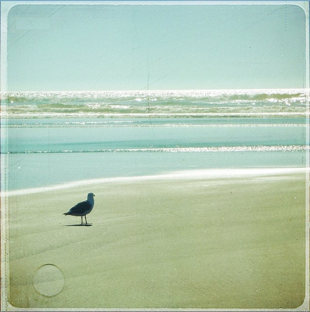 Solitude