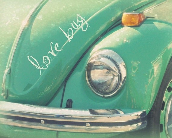 Love Bug