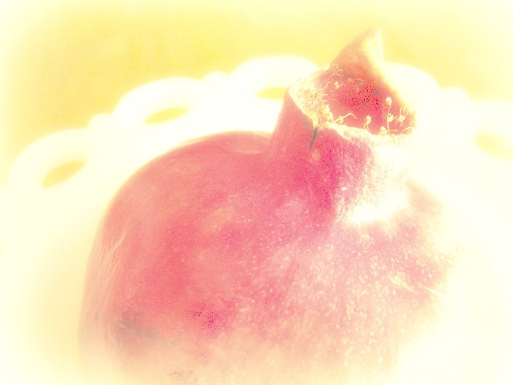 Pomegranate Photograph 8x10 - fruit fall autumn red pastel soft dreamy kitchen art print home decor