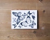 BUTTERFLIES BLANK CARDS set of 6 with envelopes. butterflies illustration. Nature inspired. White, ivory. Gift set.