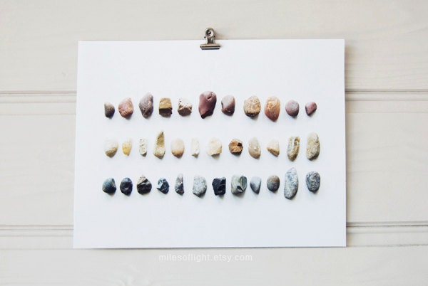 Rocks & Twigs N2 . 8x10. Fine Art Photographic Natural History Print. Minimal simple style. Natural Home Decor. Indoor garden botanical