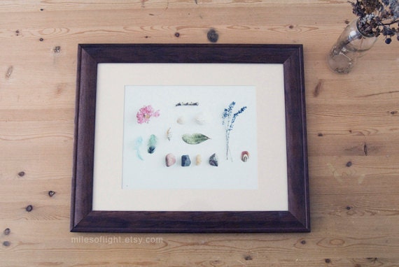 Bits of Summer - 8x10. Fine Art Photographic Natural History Print. Minimal simple style. Natural Home Decor. Indoor garden botanical