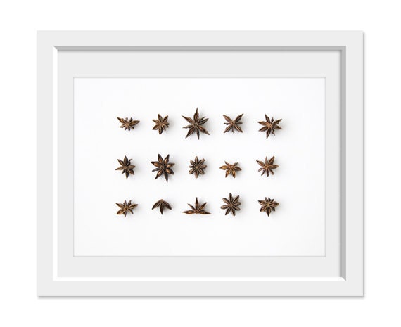 Star Anise Collection. 8x10. Fine Art Photographic Print. Minimal, herbs. Natural Home Decor. Indoor garden botanical. Kitchen