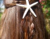 Starfish Hair Clip-Starfish Hair Accessory, Mermaids, Beach Weddings, Starfish Weddings, Starfish Themed Party, Ocean, Skinny Starfish