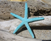 Starfish Hair Clip-Tiffany Blue Skinny Sparkle Starfish-Aqua Blue, Mermaid Costume, Beach Weddings, Mermaid Hair Clip
