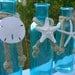 Coastal Cottage Tiffany Blue Glass Bottles-SEA LIFE TRIO-Mother's Day, Beach Home Decor, Seashore, Beach Weddings, Starfish Sand Dollar Home