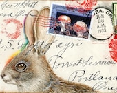 Bunny Shroom Postcard