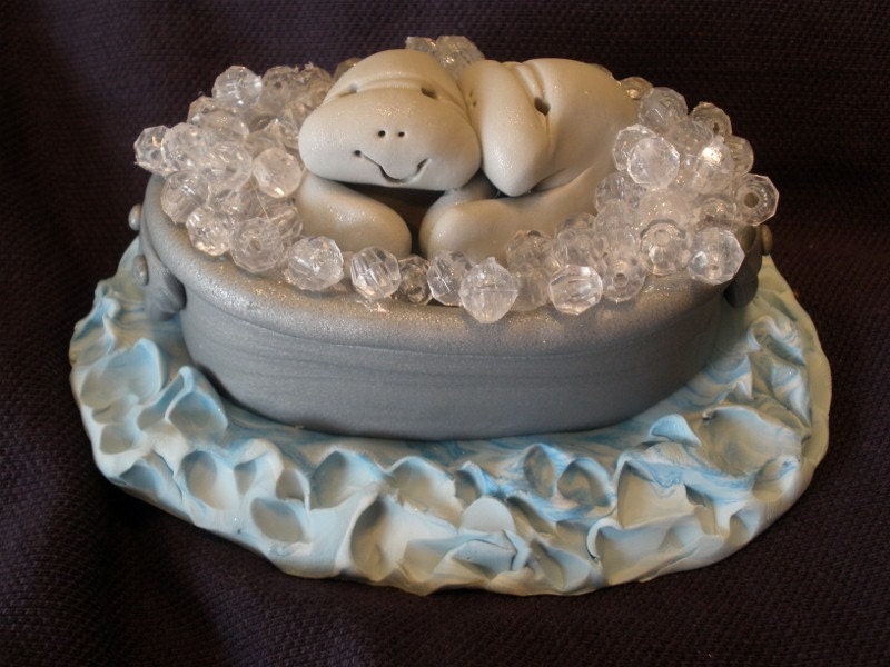 Clay Manatee