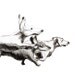 Running Dachshunds - Set of 5 Blank Note Cards