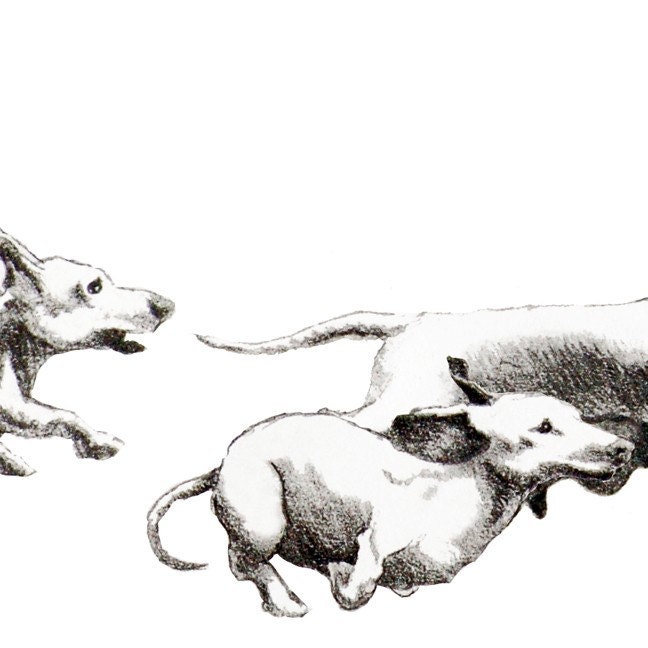 Running Dachshunds - Set of 5 Blank Note Cards